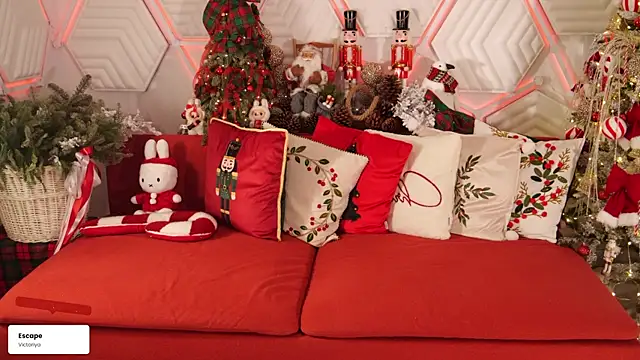 taanni bc online show from January 15, 7:39 pm