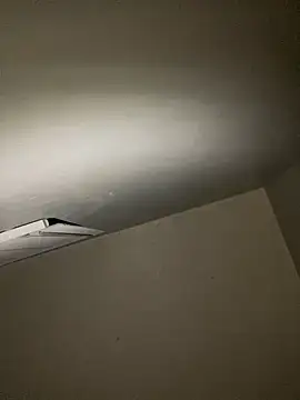 Snapshot of leisurelycriminal chatting on January 1, 10:21 am leisurelycriminal online show from January 1, 10:21 am