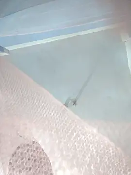 124pakhi online show from January 12, 3:17 pm