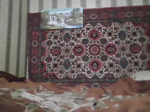 AlferezzSolvajo online show from November 12, 6:58 am