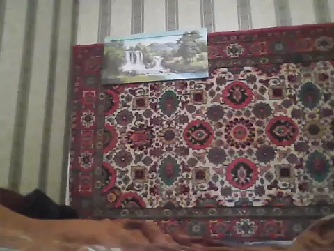 AlferezzSolvajo online show from November 21, 12:15 pm