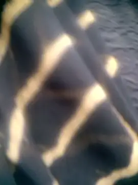 Amaya Bajwa online show from December 15, 4:39 am