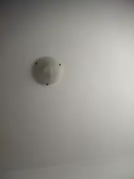 Snapshot of NNNoire chatting on December 20, 10:33 am NNNoire online show from December 20, 10:33 am