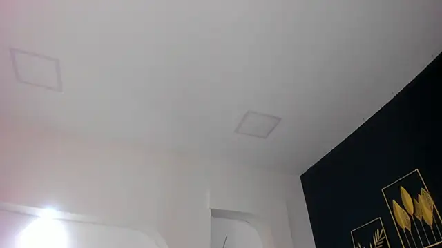 Snapshot of sara__jones_gh chatting on November 26, 4:41 pm sara jones gh online show from November 26, 4:41 pm