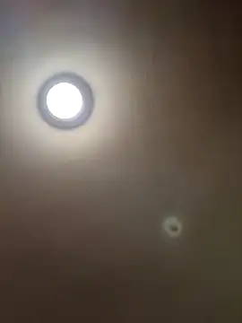 MrDaddyBbSnake online show from January 28, 4:29 am