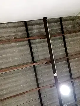 Queen princes online show from February 23, 5:01 am