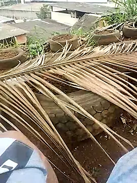 Snapshot of safado0027 chatting on October 15, 6:41 pm safado0027 online show from October 15, 6:41 pm