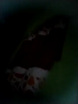 Snapshot of safado0027 chatting on November 9, 8:34 am safado0027 online show from November 9, 8:34 am