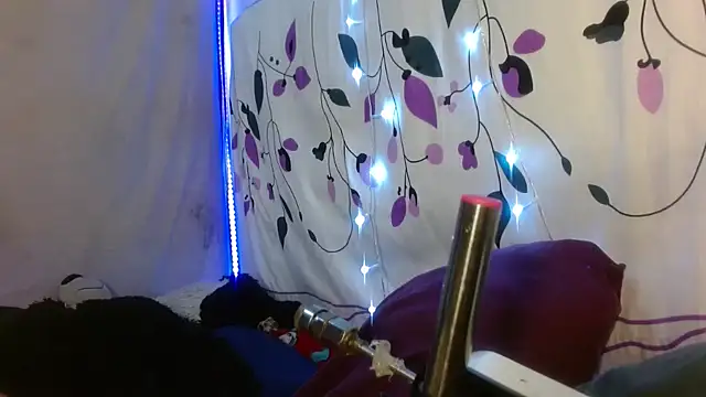 kattislut77 online show from February 7, 7:50 pm