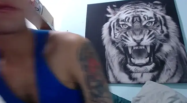 dany hardy online show from February 4, 4:15 am