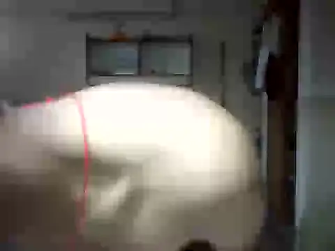 venom26 online show from September 14, 9:52 am