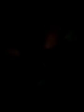 KisSsu online show from January 9, 4:32 pm