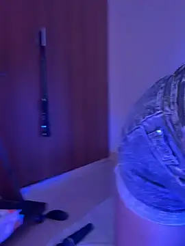 Snapshot of _Devika chatting on March 28, 1:16 am Devika online show from March 28, 1:16 am