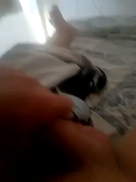 Snapshot of jacaranduba07 chatting on January 14, 6:28 pm jacaranduba07 online show from January 14, 6:28 pm