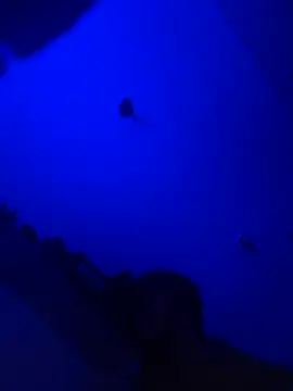 Snapshot of Raziv_komal143 chatting on February 25, 12:14 am Raziv komal143 online show from February 25, 12:14 am