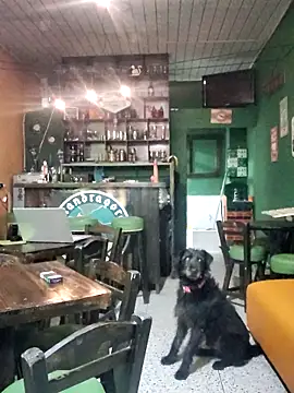 ilonna2025 online show from March 15, 11:33 pm