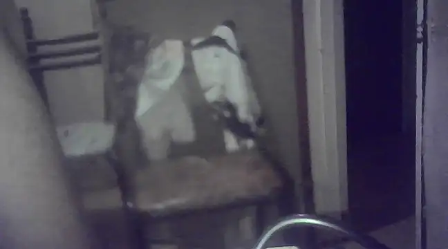 Snapshot of EstebanAkyLu chatting on January 26, 7:53 am EstebanAkyLu online show from January 26, 7:53 am