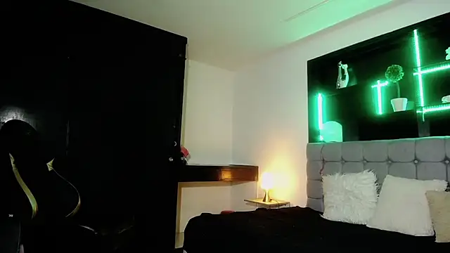 Kitten Cam online show from February 20, 5:33 am