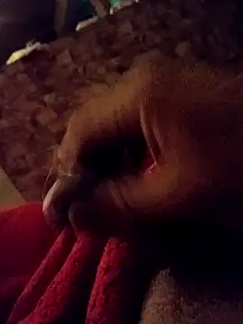 Snapshot of srecet chatting on February 1, 9:43 am srecet online show from February 1, 9:43 am