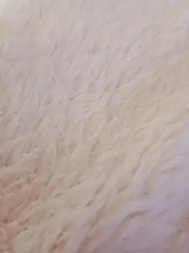 feketedemon36 online show from January 21, 9:15 pm