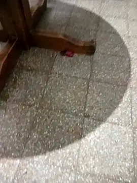 parejarica420 online show from March 6, 8:38 pm