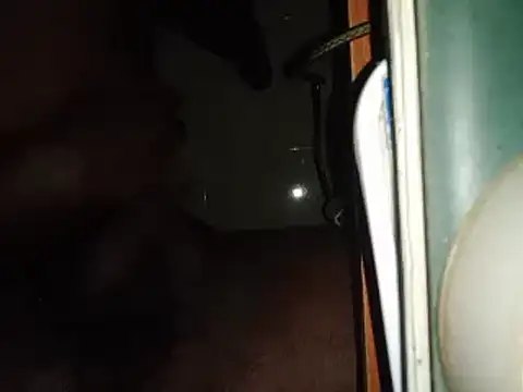 Snapshot of world_bigdick1 chatting on February 14, 5:14 pm world bigdick1 online show from February 14, 5:14 pm