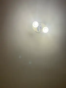 bunnythetailor online show from April 7, 6:41 pm