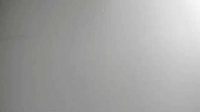 Snapshot of Tombarden chatting on February 11, 3:51 pm Tombarden online show from February 11, 3:51 pm