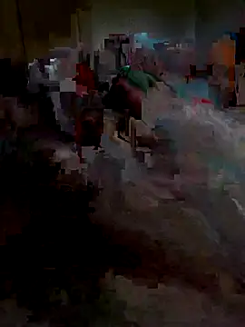 Snapshot of Ariba270 chatting on November 1, 9:55 am Ariba270 online show from November 1, 9:55 am