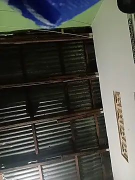 -Nicol online show from January 16, 10:08 am