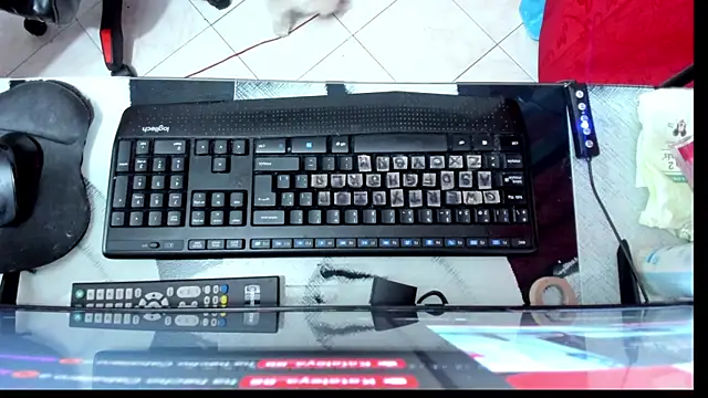 Kataleya 88 online show from December 17, 11:00 pm