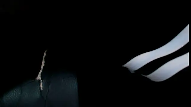 Snapshot of roan_birkin chatting on June 11, 12:32 am roan birkin online show from June 11, 12:32 am