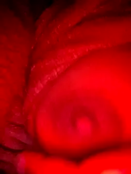 bestfriend-shikha online show from February 5, 9:18 pm