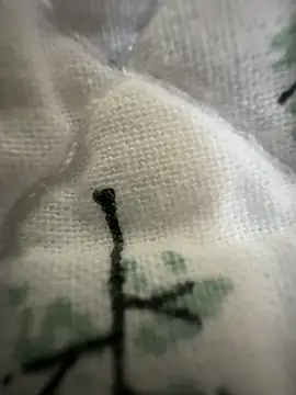 sissyboijamie1313 online show from February 28, 8:54 pm