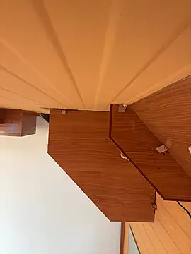 laarti online show from February 12, 10:43 am