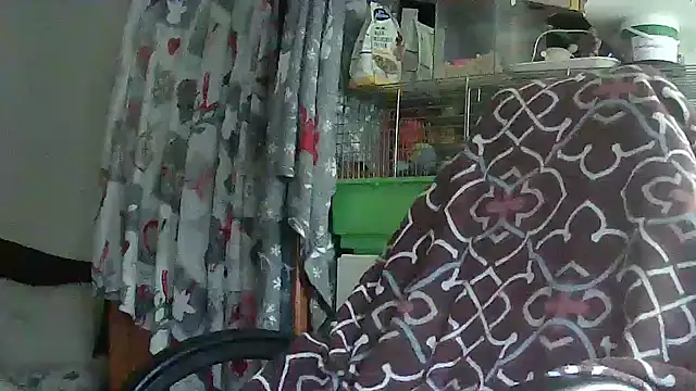 Snapshot of Cicamica12 chatting on May 15, 4:25 pm Cicamica12 online show from May 15, 4:25 pm