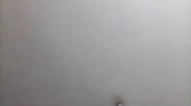 beatle666 online show from February 26, 2:15 am