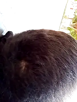 Elgroney23 online show from December 19, 4:58 pm