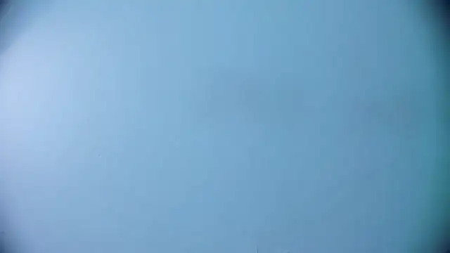 Ashlyaurora online show from March 19, 7:40 am