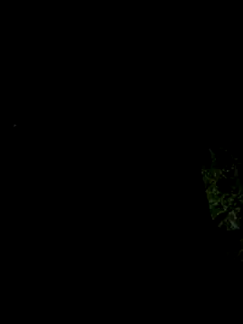 hintly online show from October 29, 11:12 am