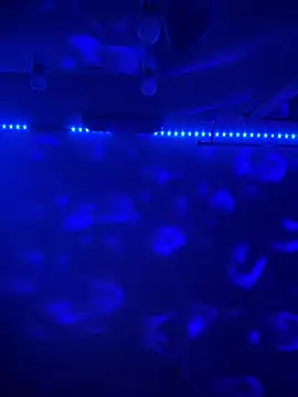 Snapshot of BBSTRING chatting on November 15, 6:59 pm BBSTRING online show from November 15, 6:59 pm