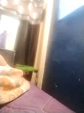 neha007-K online show from March 10, 7:18 pm