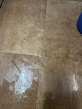 man16101 online show from December 21, 1:40 pm