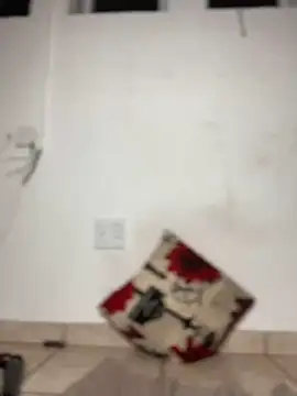 Cuddle Bear online show from February 20, 12:52 am