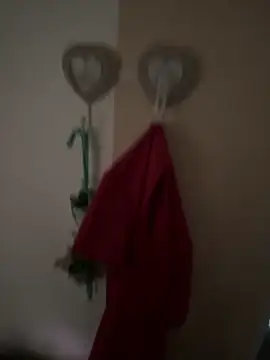 Snapshot of EMIeISL chatting on October 15, 12:27 pm EMIeISL online show from October 15, 12:27 pm