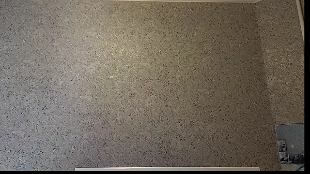 Snapshot of DemiDee chatting on December 15, 8:24 pm DemiDee online show from December 15, 8:24 pm