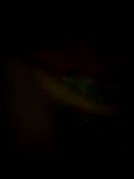 Snapshot of jonzzvergs chatting on February 9, 12:30 pm jonzzvergs online show from February 9, 12:30 pm