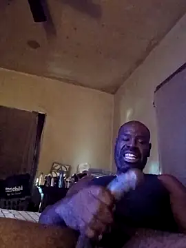 birdg online show from November 13, 6:18 pm