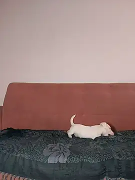 Snapshot of Jehan_Soto chatting on September 9, 5:12 pm Jehan Soto online show from September 9, 5:12 pm