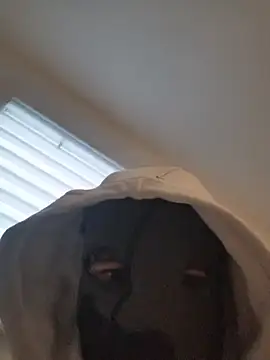 Snapshot of Bigdick420anal chatting on February 4, 6:41 am Bigdick420anal online show from February 4, 6:41 am